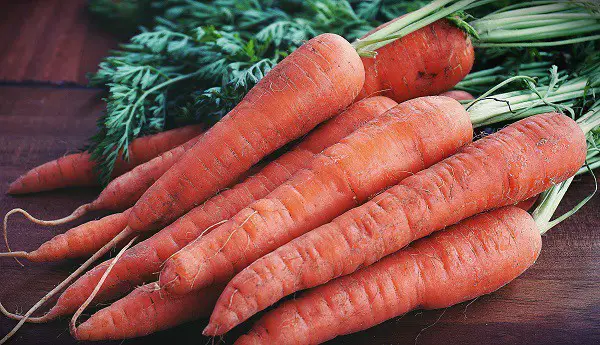 carrots for healthy eyes