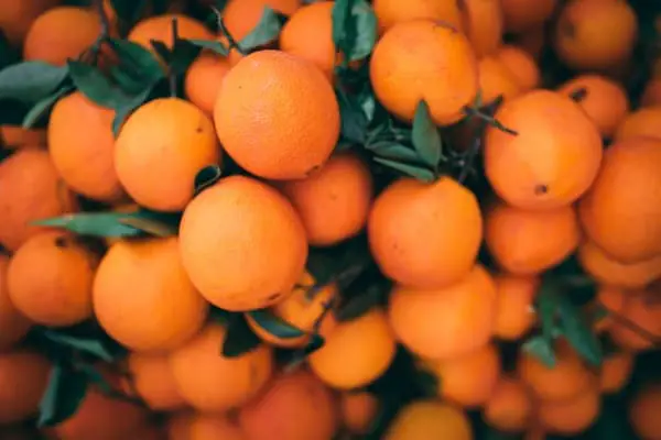 citrus fruits for eyes | Getallanswer